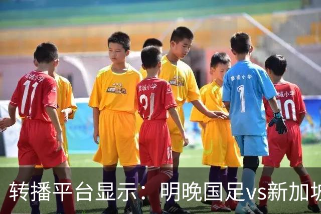 转播平台显示：明晚国足vs新加坡的热身赛付费直播，需9.9元