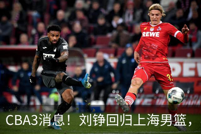 CBA3消息！刘铮回归上海男篮，杜锋心理学院博士，中国男篮VS立陶宛！
